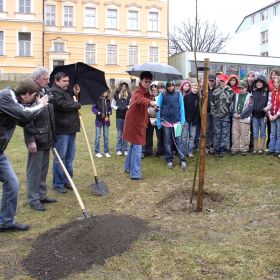 2. Pohádkovník Andersenův